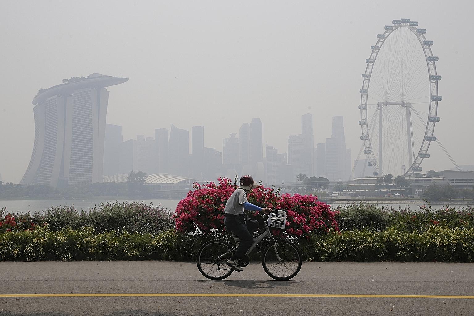 Can S-E Asia be haze-free by 2020?