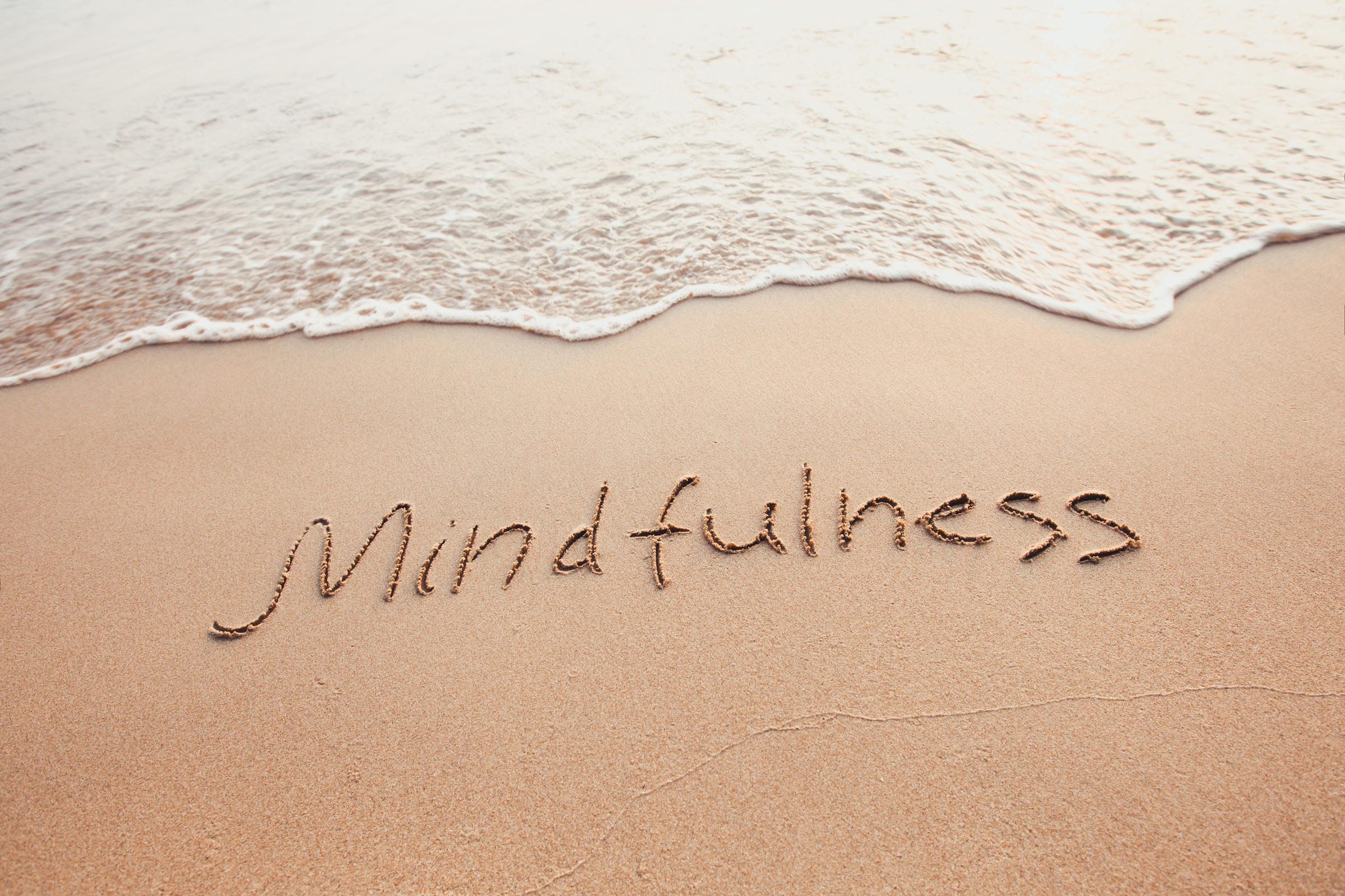Mindfulness Workshops – November 2020